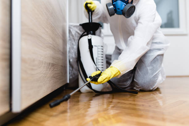 Best Emergency Pest Control  in Twin Lakes, CO