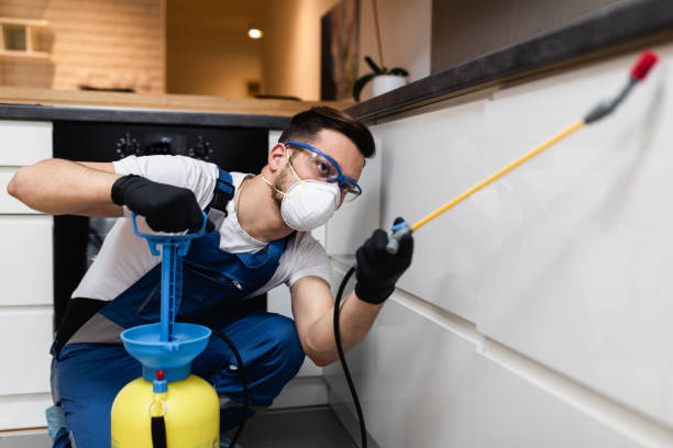 Best Residential Pest Control  in Twin Lakes, CO