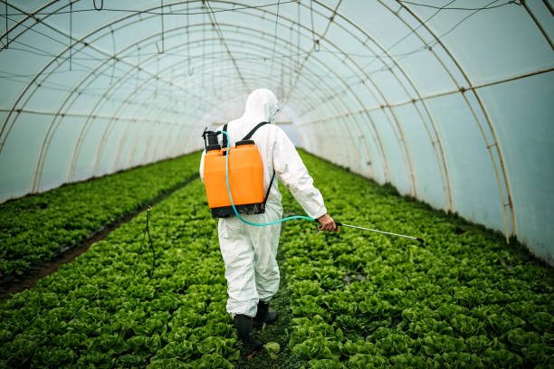 Best Commercial Pest Control Services  in Twin Lakes, CO