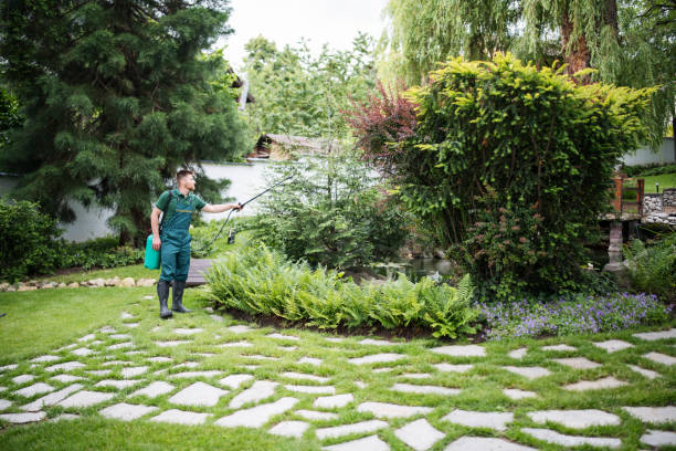 Trusted Twin Lakes, CO Pest Control Experts