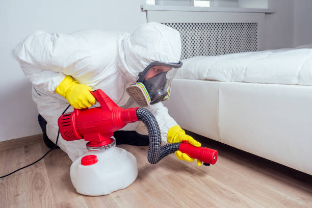 Best Bed Bug Extermination  in Twin Lakes, CO