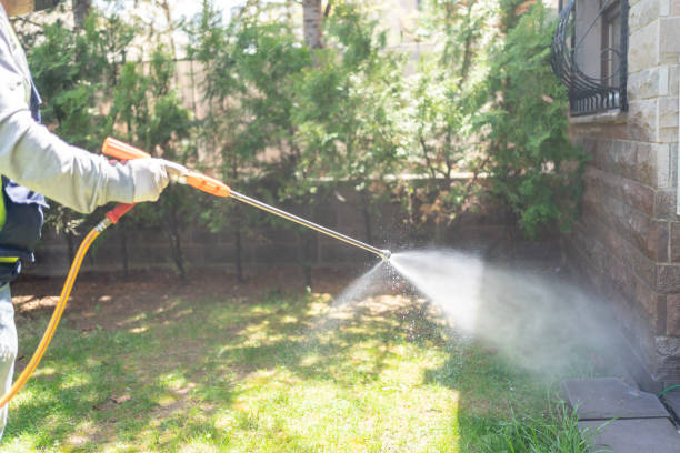 Best Ant Control Services  in Twin Lakes, CO