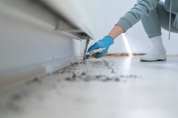 Insect Control in Twin Lakes, CO